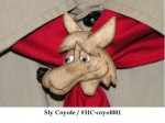 Sly Coyote