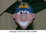 Grinning Cub Scout