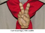 Cub Scout Sign